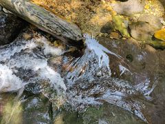 -鼎湖山风景区