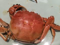 -嗨辣小聚·盘锦河蟹·海鲜烧烤龙虾(盘锦十年好店)