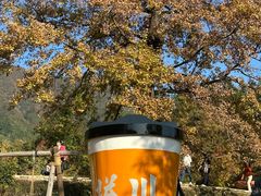 -塔川景区