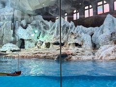 -帝企鹅自助餐厅•儿童岛•真企鹅(长隆企鹅酒店)