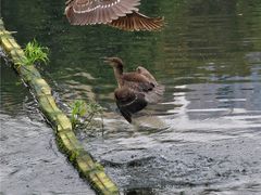 -重庆彩云湖湿地公园