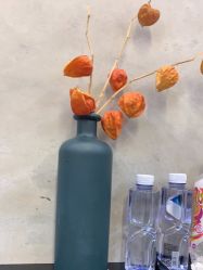 -蚂蚁造型俱乐部