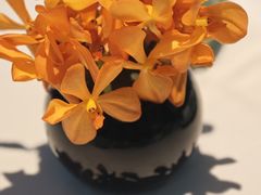 -止观小馆·辽河口渔家菜(王府井店)