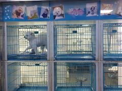 -萌兽医馆·宠物医院·猫骨科(创景店)