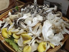 -阿山卓·野生菌火锅·纳西火塘烤肉
