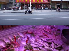 门面-长平老姿娘夜粥(平东一街店)