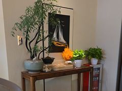 -码头见·潮汕菜(领展中心城店)