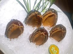 手工冰镇鲍鱼-木棉·醉心粤味(COCO Park店)