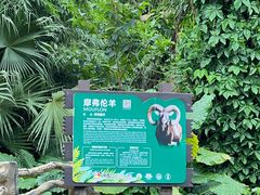 -海南热带野生动植物园