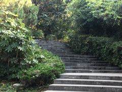 -第一山景区