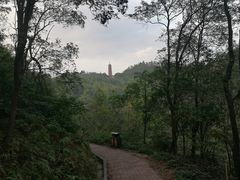 -大雁山风景区