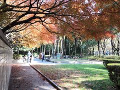 -徐家汇源景区-衡山公园