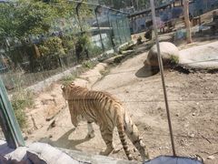 -泉州海丝野生动物世界