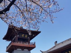 -南翔古镇