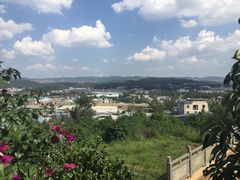 -长虫山生态公园风景林