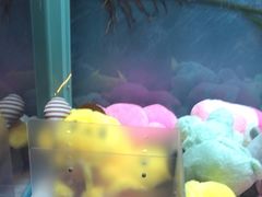 -CIAO·团建聚餐·生日派对轰趴馆(福田店)