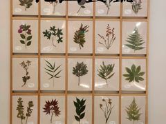 -ROIIN用心(杭州首店)