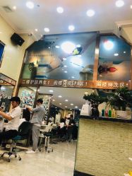 -SOLO Hair Salon