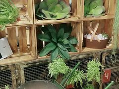 -花蒲甜品(海信广场店)