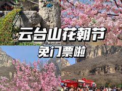 -云台山风景名胜区