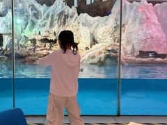 -帝企鹅自助餐厅•儿童岛•真企鹅(长隆企鹅酒店)