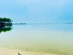 -瑶湖郊野森林公园