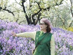 -江苏三台山国家森林公园