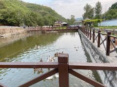 -荷塘味道(水长城店)