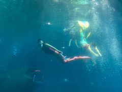 -福州罗源湾海洋世界旅游区