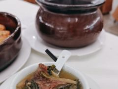 -五谷芳乳鸽王(海景店)