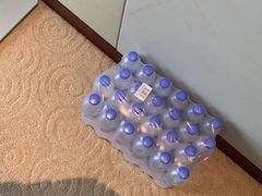-南桥绿地铂骊酒店