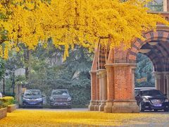 -马勒别墅饭店(静安寺店)