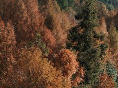 -山王坪喀斯特国家生态公园