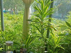 -太守宴·蘭院(天塔店)