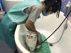 -瑞鹏宠物医院·宠保定点·心脏科·内科(御桥分院)