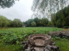 -堤角公园
