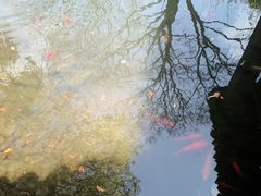 -八大山人梅湖景区