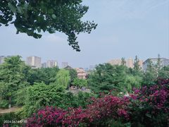 -成都市文化公园