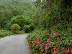 盘山公路-木兰云雾山