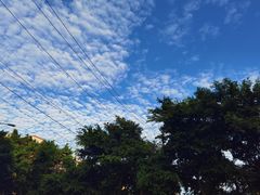 -袁记串串香(新南门店)