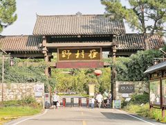 -黄陂区野村谷景区