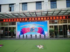 -陕西省小天鹅艺术团