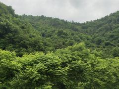 -石台牯牛降景区