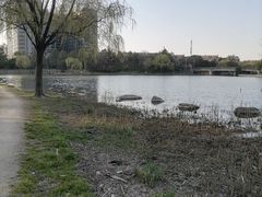 -美兰湖景区