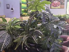 -金陵暴走小龙虾·迷踪蟹(凯德MALL店)