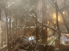-汉拿山温泉度假酒店
