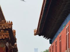 -北京市劳动人民文化宫(太庙)