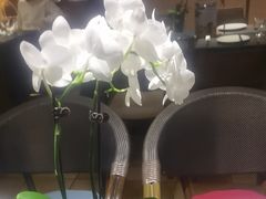 -翡翠鸟精品泰国菜(北辰财富中心店)
