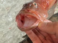 -鹏城人家海鲜酒家·23年老字号(较场尾店)