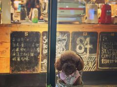 -查令84号咖啡馆(金大地1912东西街店)